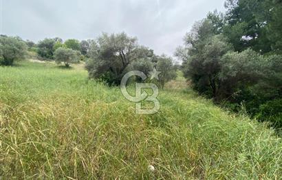 BUCA BATI ÇIKIŞI YAKINI TAM HİSSE SATILIK TARLA (dereköy mevkii)