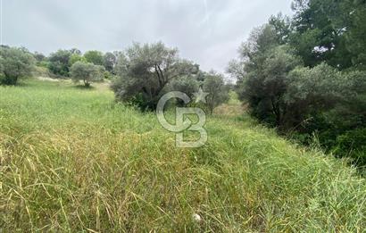 BUCA BATI ÇIKIŞI YAKINI TAM HİSSE SATILIK TARLA (dereköy mevkii)