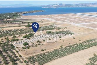 Çaltılıdere YATEK'e Komşu: Konut Yapı Koop.'ta Satılık 600 m2
