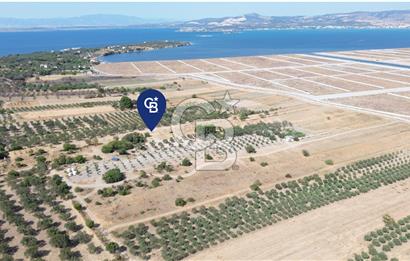 Çaltılıdere YATEK'e Komşu: Konut Yapı Koop.'ta Satılık 600 m2