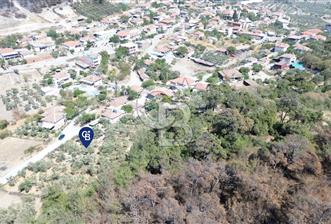 Köy ve Ormanla İçiçe Yola Cepheli 1806 m2 Müstakil Zeytinlik
