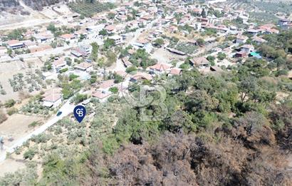Köy ve Ormanla İçiçe Yola Cepheli 1806 m2 Müstakil Zeytinlik