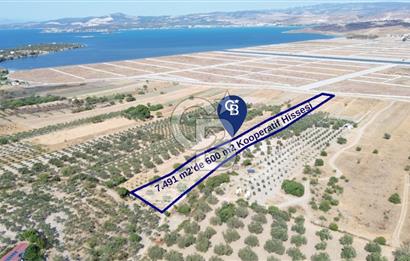 Çaltılıdere YATEK'e Komşu: Konut Yapı Koop.'ta Satılık 600 m2