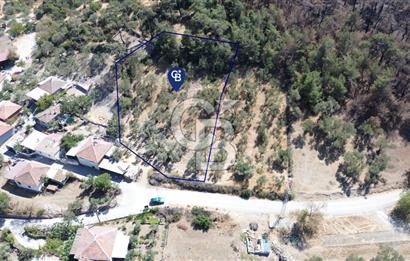 Köy ve Ormanla İçiçe Yola Cepheli 1806 m2 Müstakil Zeytinlik