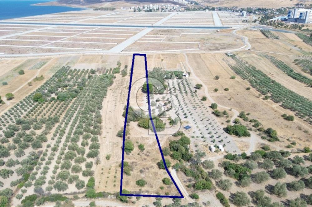 Çaltılıdere YATEK'e Komşu: Konut Yapı Koop.'ta Satılık 600 m2