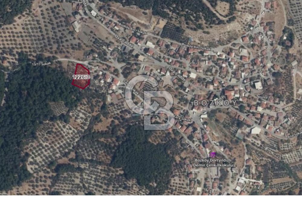 Köy ve Ormanla İçiçe Yola Cepheli 1806 m2 Müstakil Zeytinlik