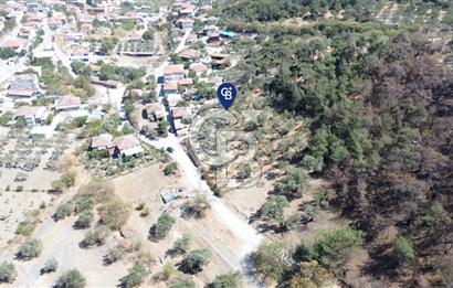 Köy ve Ormanla İçiçe Yola Cepheli 1806 m2 Müstakil Zeytinlik