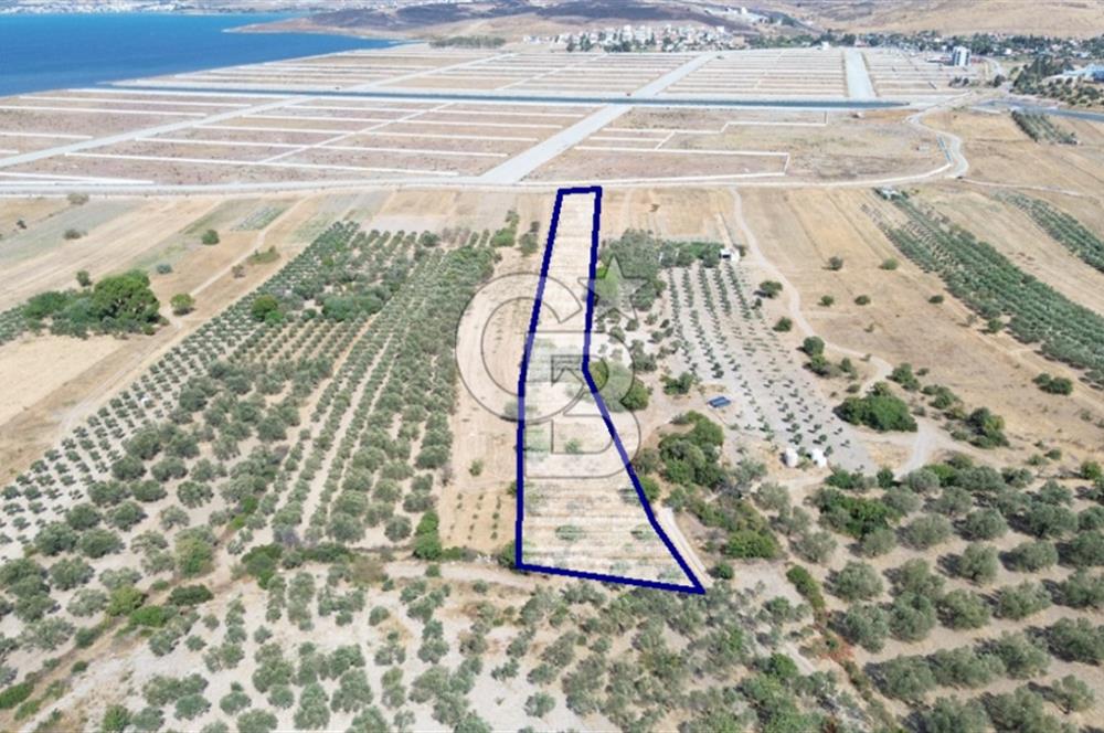 Çaltılıdere YATEK'e Komşu: Konut Yapı Koop.'ta Satılık 600 m2