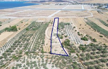 Çaltılıdere YATEK'e Komşu: Konut Yapı Koop.'ta Satılık 600 m2