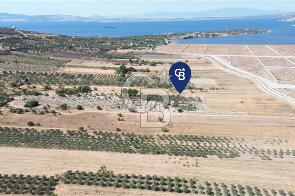 Çaltılıdere YATEK'e Komşu: Konut Yapı Koop.'ta Satılık 600 m2