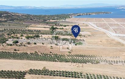 Çaltılıdere YATEK'e Komşu: Konut Yapı Koop.'ta Satılık 600 m2