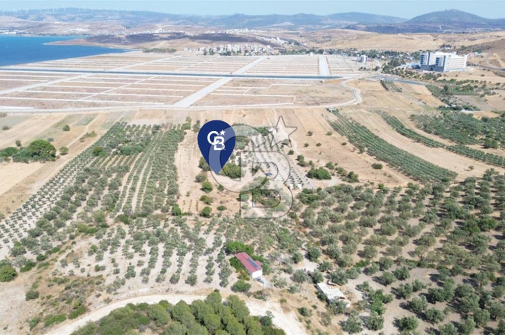 Çaltılıdere YATEK'e Komşu: Konut Yapı Koop.'ta Satılık 600 m2