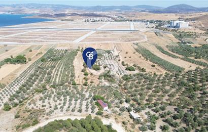 Çaltılıdere YATEK'e Komşu: Konut Yapı Koop.'ta Satılık 600 m2