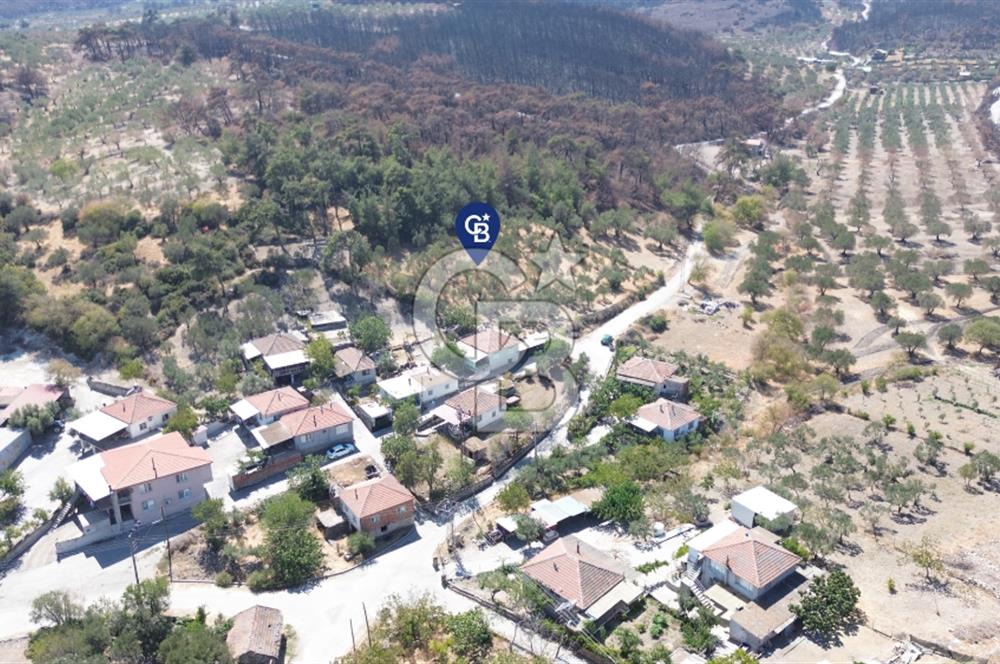 Köy ve Ormanla İçiçe Yola Cepheli 1806 m2 Müstakil Zeytinlik