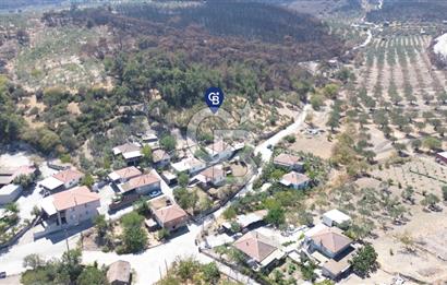 Köy ve Ormanla İçiçe Yola Cepheli 1806 m2 Müstakil Zeytinlik