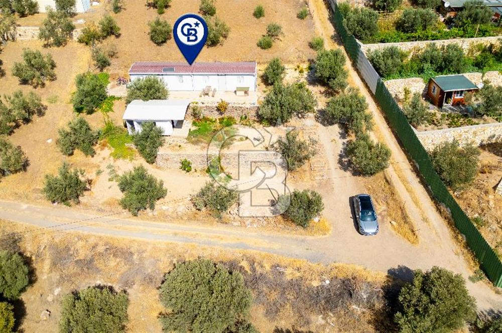 Foça Ilıpınar'da Anayol Üzeri Satılık Tarla