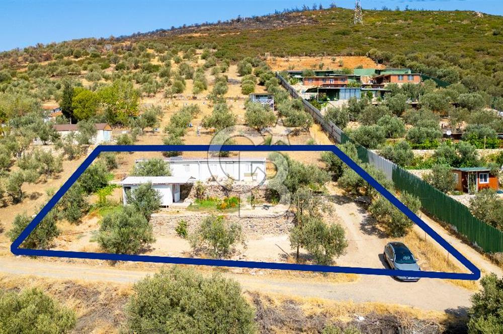 Foça Ilıpınar'da Anayol Üzeri Satılık Tarla