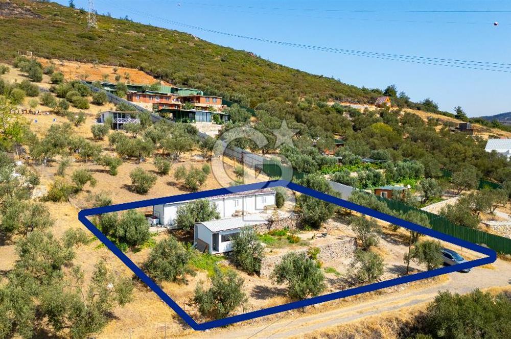 Foça Ilıpınar'da Anayol Üzeri Satılık Tarla