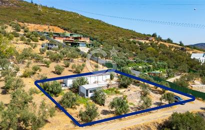 Foça Ilıpınar'da Anayol Üzeri Satılık Tarla