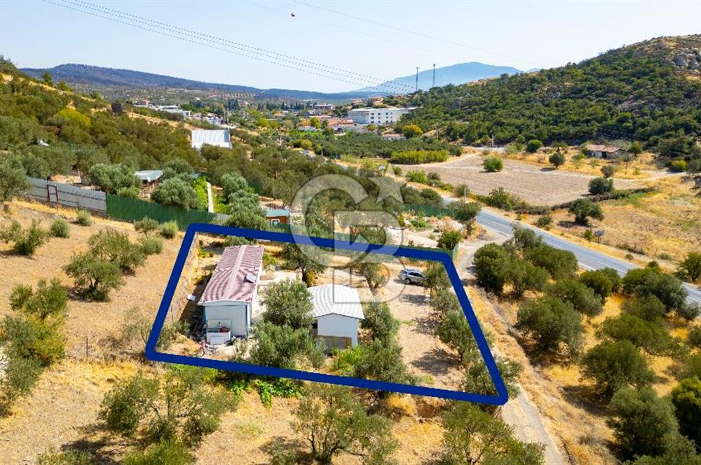 Foça Ilıpınar'da Anayol Üzeri Satılık Tarla