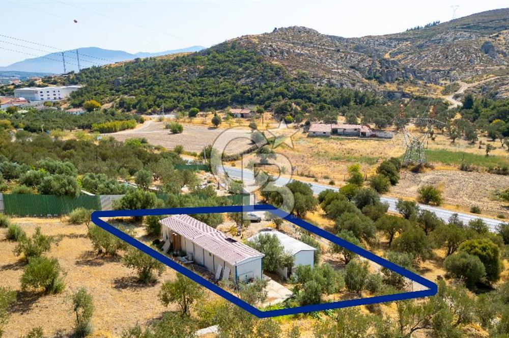 Foça Ilıpınar'da Anayol Üzeri Satılık Tarla