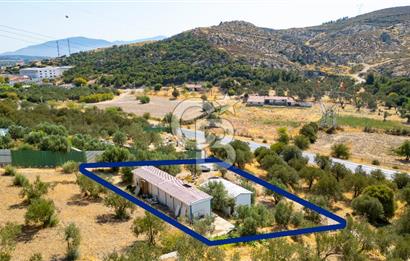 Foça Ilıpınar'da Anayol Üzeri Satılık Tarla