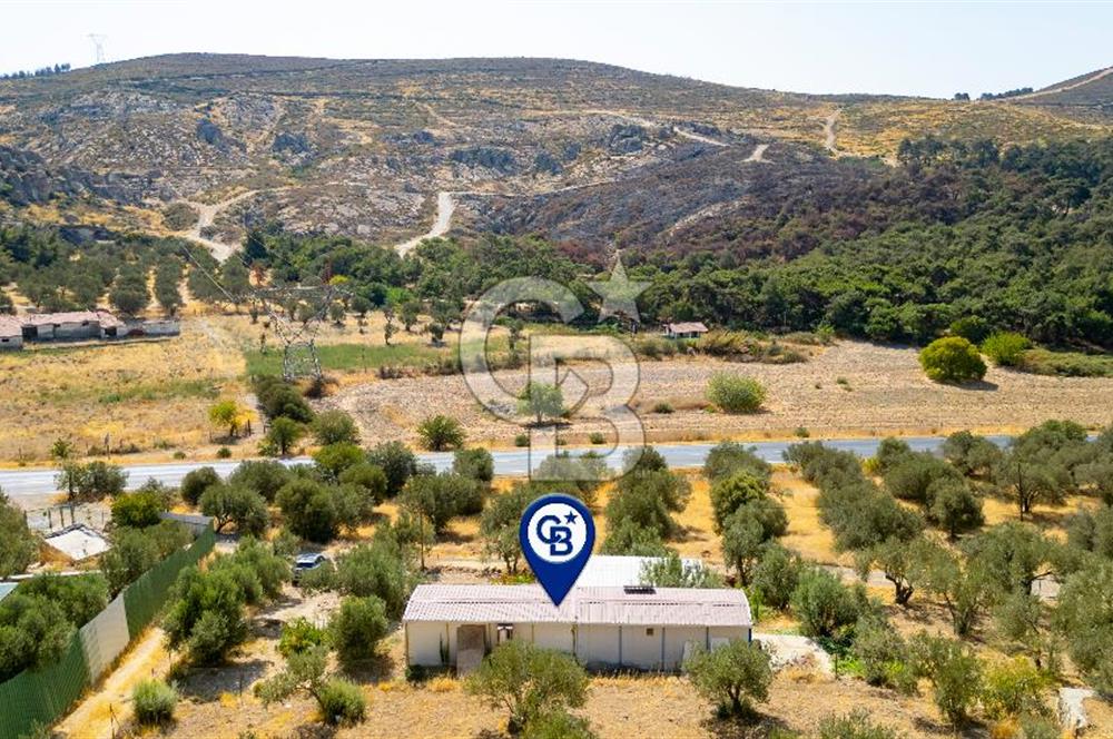 Foça Ilıpınar'da Anayol Üzeri Satılık Tarla