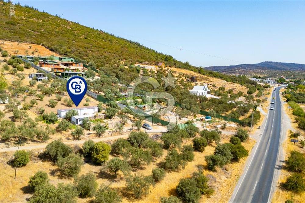 Foça Ilıpınar'da Anayol Üzeri Satılık Tarla