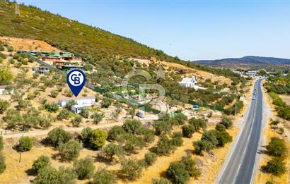 Foça Ilıpınar'da Anayol Üzeri Satılık Tarla