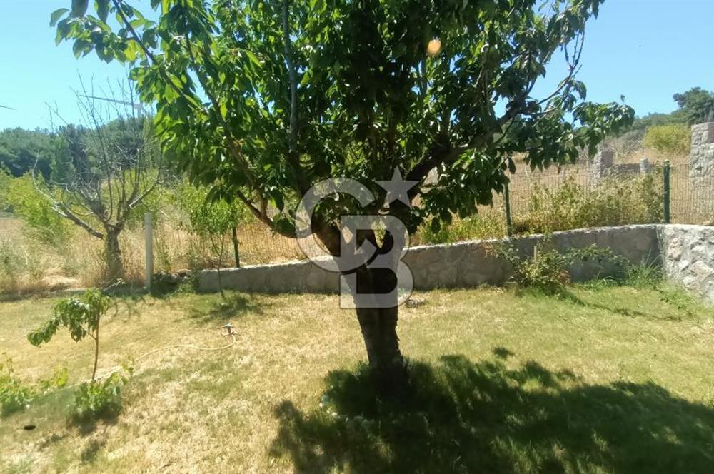 Bornova Yakaköy Satılık Tarla ve 2+1 Ağaç Ev 