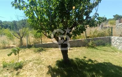 Bornova Yakaköy Satılık Tarla ve 2+1 Ağaç Ev 