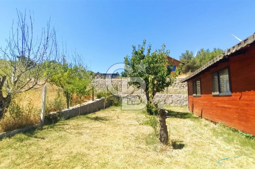 Bornova Yakaköy Satılık Tarla ve 2+1 Ağaç Ev 