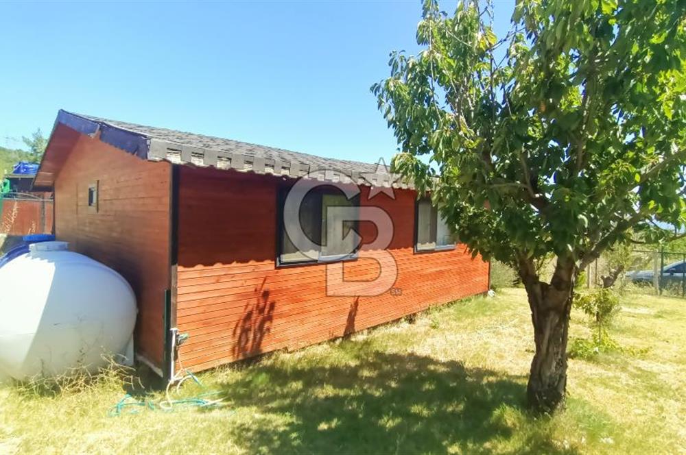 Bornova Yakaköy Satılık Tarla ve 2+1 Ağaç Ev 