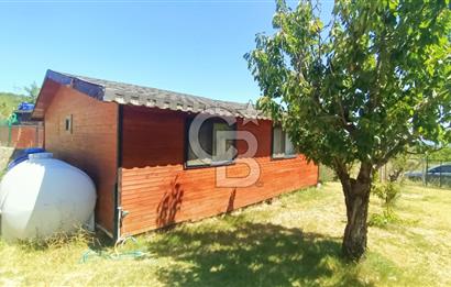 Bornova Yakaköy Satılık Tarla ve 2+1 Ağaç Ev 