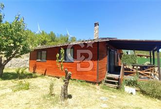 Bornova Yakaköy Satılık Tarla ve 2+1 Ağaç Ev 