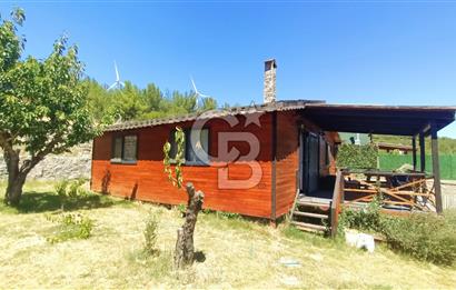 Bornova Yakaköy Satılık Tarla ve 2+1 Ağaç Ev 