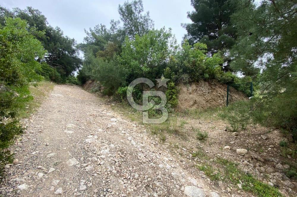 BUCA BATI ÇIKIŞI YAKINI TAM HİSSE SATILIK TARLA (dereköy mevkii)