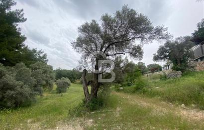 BUCA BATI ÇIKIŞI YAKINI TAM HİSSE SATILIK TARLA (dereköy mevkii)