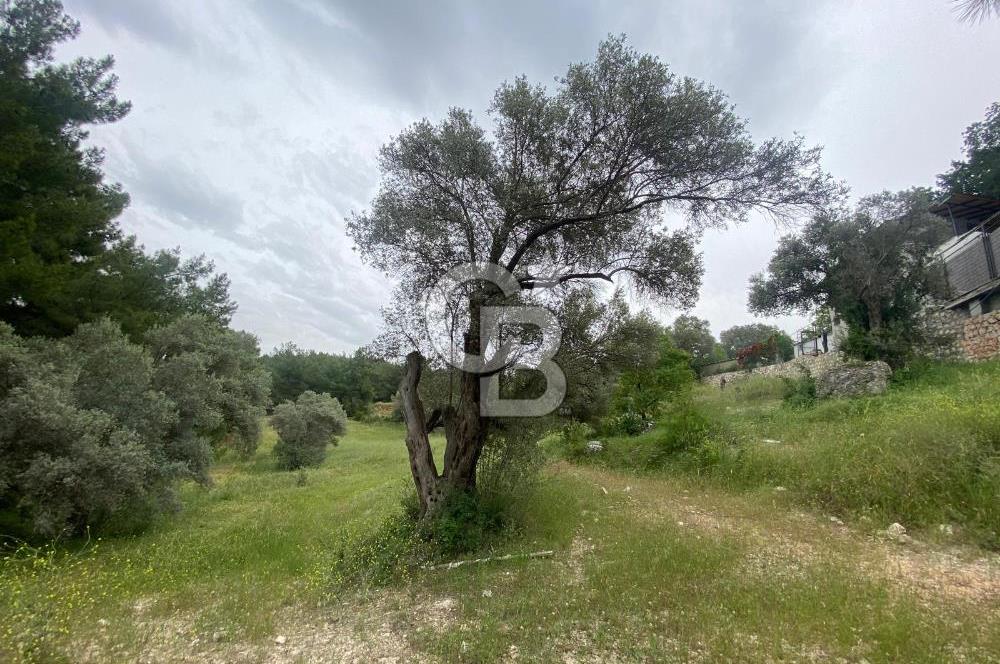 BUCA BATI ÇIKIŞI YAKINI TAM HİSSE SATILIK TARLA (dereköy mevkii)