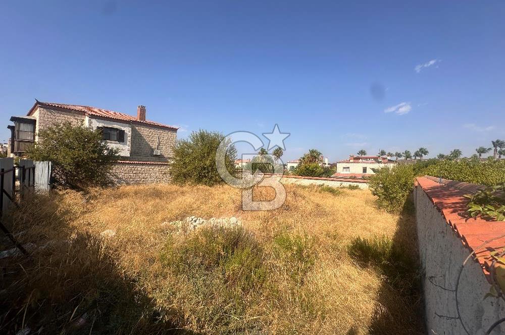 Alaçatı Mh. 654 m2 TTA İmarlı Arsa