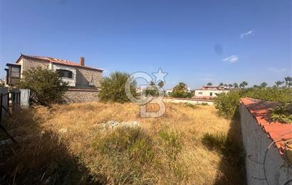 Alaçatı Mh. 654 m2 TTA İmarlı Arsa