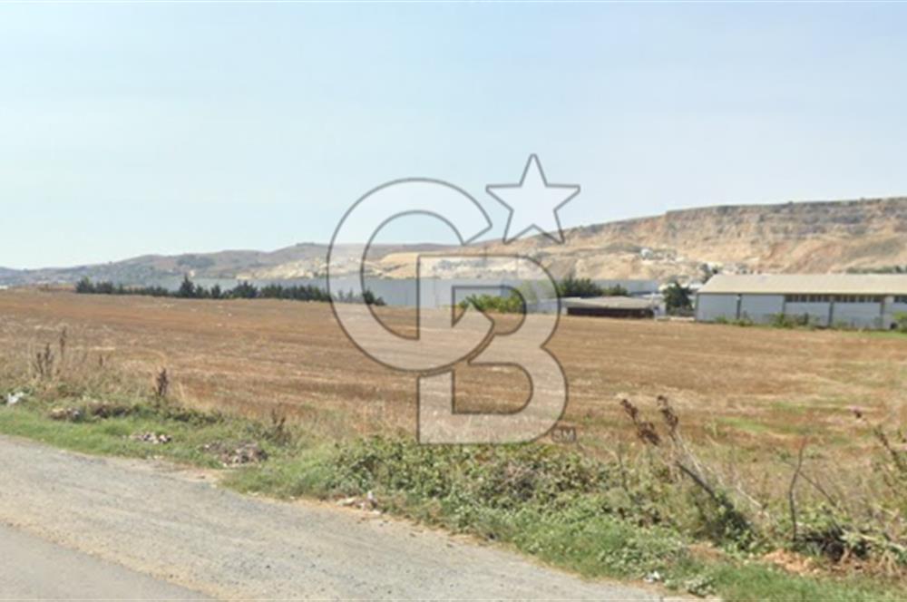 Çatalca Gümrük Yoluna Cephe 7.273 m² Kiralık Arsa Lojistik/Depo