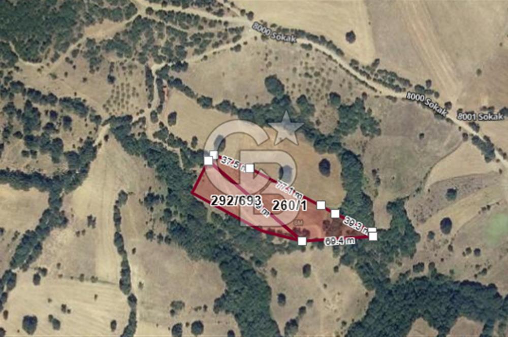 BALIKESİR KEPSUT BÜKDERE'DE 2.358 m2 SATILIK TARLA