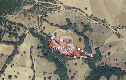 BALIKESİR KEPSUT BÜKDERE'DE 2.358 m2 SATILIK TARLA
