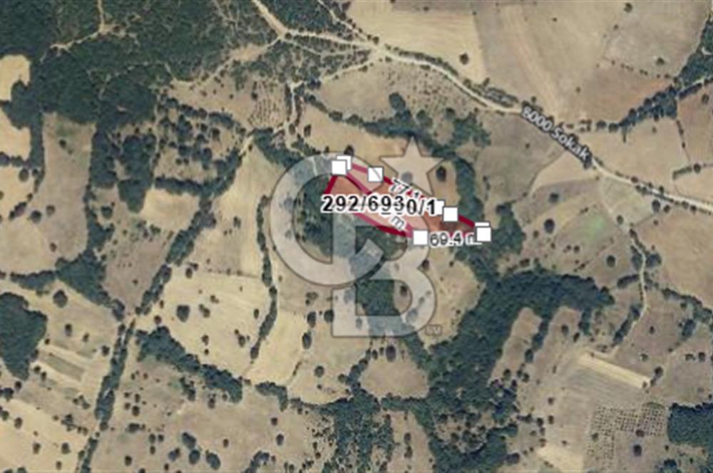 BALIKESİR KEPSUT BÜKDERE'DE 2.358 m2 SATILIK TARLA