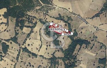 BALIKESİR KEPSUT BÜKDERE'DE 2.358 m2 SATILIK TARLA