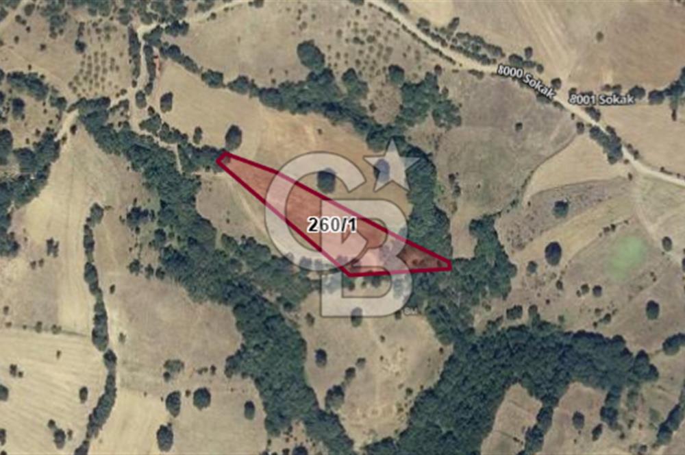 BALIKESİR KEPSUT BÜKDERE'DE SATILIK 4.120 m2 TARLA