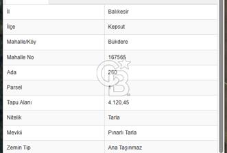 BALIKESİR KEPSUT BÜKDERE'DE SATILIK 4.120 m2 TARLA