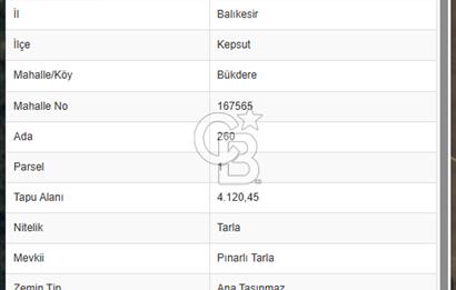 BALIKESİR KEPSUT BÜKDERE'DE SATILIK 4.120 m2 TARLA