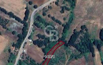 ÇANAKKALE ÇAN SAMEDELİ KÖYÜ SATILIK TARLA